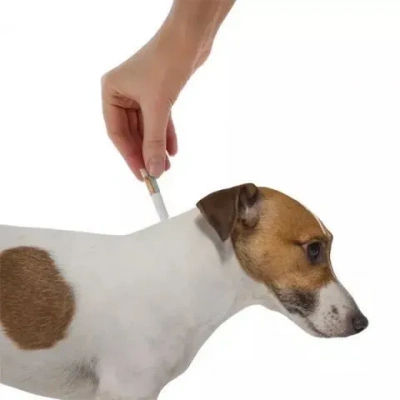 Адвокат капли (1пип) для собак до 4кг от чесоточных клещей, блох и гельминтов (ЛИЦЕНЗИЯ) фото Адвокат капли (1пип) для собак до 4кг от чесоточных клещей, блох и гельминтов (ЛИЦЕНЗИЯ) фото