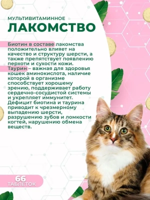 Triol 0,033кг лакомство мультивитаминное лакомство Здоровая кожа и шерсть для кошек фото Triol 0,033кг лакомство мультивитаминное лакомство Здоровая кожа и шерсть для кошек фото