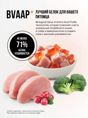 Bowl Wow 0,085кг курица и овощи в кусочки в желе для стерилизованных кошек (665076) фото