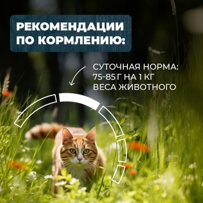 Родные корма 0,085кг кролик кусочки в соусе по-липецки для стерилизованных кошек (831113) фото