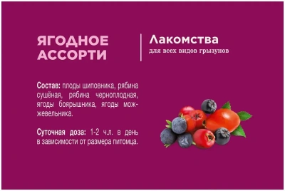 Little One 0,2кг Лакомство Ягодное ассорти для грызунов фото Little One 0,2кг Лакомство Ягодное ассорти для грызунов фото