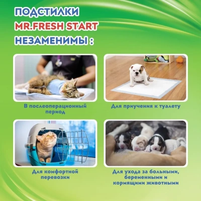 Пеленки (Mr.Fresh) Expert Start для приучения к месту (40*60) 15шт фото Пеленки (Mr.Fresh) Expert Start для приучения к месту (40*60) 15шт фото