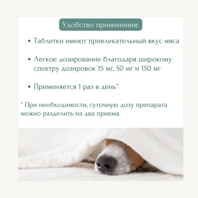 Энроксил (KRKA) 15мг противомикробный препарат (со вкусом мяса), 10таб. (ЛИЦЕНЗИЯ) фото Энроксил (KRKA) 15мг противомикробный препарат (со вкусом мяса), 10таб. (ЛИЦЕНЗИЯ) фото