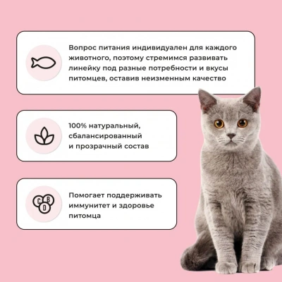 Bowl Wow 4кг с индейкой и яблоком сухой для кошек (660095) фото