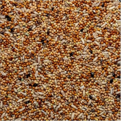 Вака 0,5кг High Quality корм для волнистых попугаев фото Вака 0,5кг High Quality корм для волнистых попугаев фото