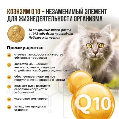 Unitabs 120таб./0,06кг витаминно-минеральная добавка BiotinPlus Q10 биотин + таурин для кожи и шерсти для кошек фото Unitabs 120таб./0,06кг витаминно-минеральная добавка BiotinPlus Q10 биотин + таурин для кожи и шерсти для кошек фото