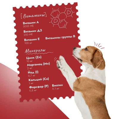 Best Dinner Dog Super Premium 0,85кг Ягненок с томатами консервы для собак и щенков (406470) фото