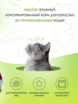 Best Dinner Cat Holistic Sterilised 0,07кг филе в желе с индейкой, курицей и тунцом для стерилизованных кошек (408979) фото