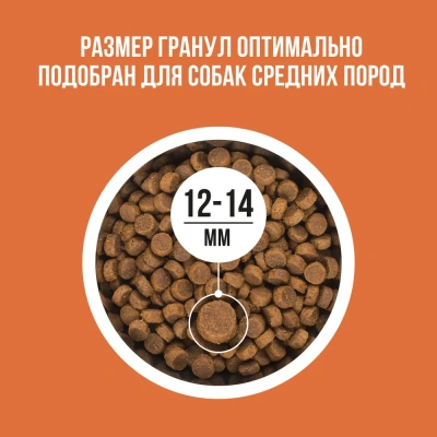 Bowl Wow 5кг ягненок, индейка с рисом и морковью сухой для собак средних пород  (661832) фото