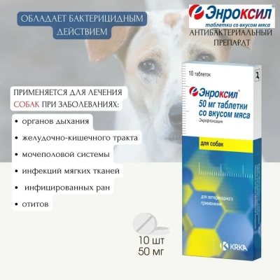 Энроксил (KRKA) 50мг противомикробный препарат (со вкусом мяса), 10таб. (ЛИЦЕНЗИЯ) Энроксил (KRKA) 50мг противомикробный препарат (со вкусом мяса), 10таб. (ЛИЦЕНЗИЯ) фото