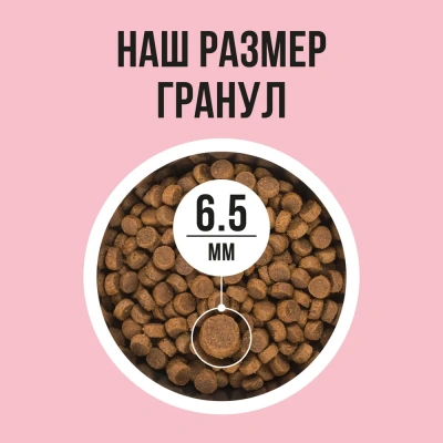 Bowl Wow 8кг с индейкой и яблоком сухой для кошек (660101) фото