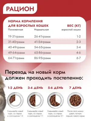 Best Dinner Cat Adult Holistic 0,4кг телятина с орегано сухой для кошек (402809) фото