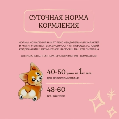 Edel Dog 0,85кг ягненок, рис консервы для собак и щенков (405336) фото Edel Dog 0,85кг ягненок, рис консервы для собак и щенков (405336) фото