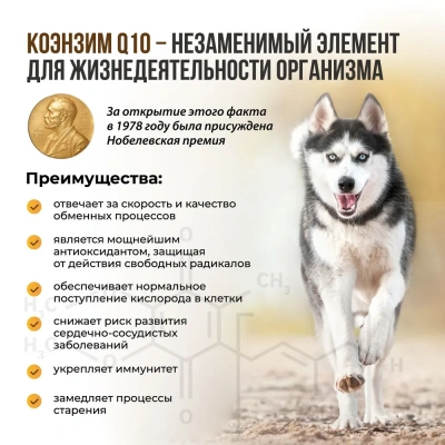 Unitabs 100таб./0,075кг витаминно-минеральная добавка ImmunoComplex  Q10 для иммунитета для мелких собак фото Unitabs 100таб./0,075кг витаминно-минеральная добавка ImmunoComplex  Q10 для иммунитета для мелких собак фото