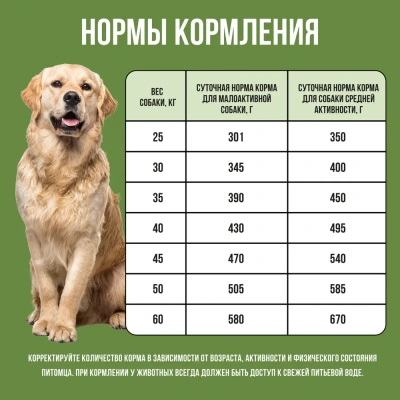 Bowl Wow 10кг ягненок, индейка с рисом и цукини сухой для собак крупных пород  (661870) фото