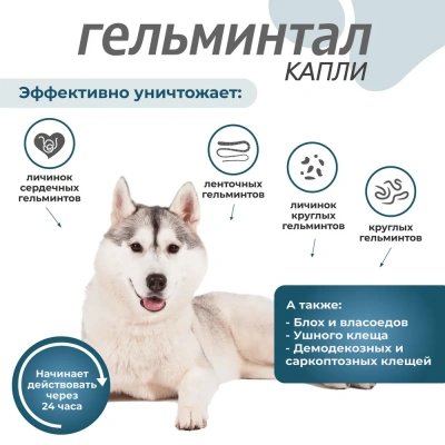 Гельминтал С Spot-on капли (1пип) на холку от блох, клещей и глистов для собак более 10кг (ЛИЦЕНЗИЯ) фото Гельминтал С Spot-on капли (1пип) на холку от блох, клещей и глистов для собак более 10кг (ЛИЦЕНЗИЯ) фото