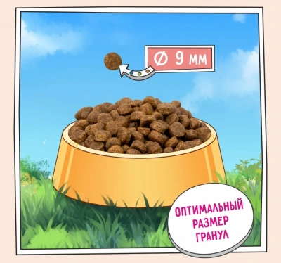 ZILLII (Зилли) Puppy 3кг индейка и ягненок сухой для щенков (350389) фото ZILLII (Зилли) Puppy 3кг индейка и ягненок сухой для щенков (350389) фото