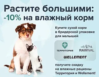 Скидка 10% на влажные корма Территория и Wellement