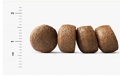 Farmina (Фармина) N&D Dog Ocean 0,8кг треска, тыквой и дыня сухой для щенков мини (038784) фото