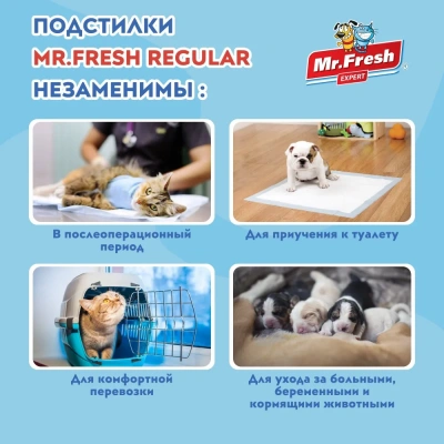 Пеленки (Mr.Fresh) Expert Regular для ежедневного применения (60*90) 16 шт фото Пеленки (Mr.Fresh) Expert Regular для ежедневного применения (60*90) 16 шт фото