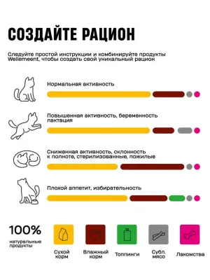 Wellement Утка с водорослями рубленое мясо в соусе для стерилизованных кошек, 80 г фото