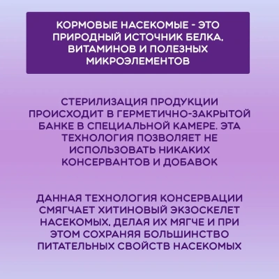 Онто (Onto) 0,04кг Мучной червь консервированный фото Онто (Onto) 0,04кг Мучной червь консервированный фото