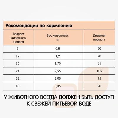 Наша Марка 10кг с цыпленком и рисом сухой корм для котят (776121) NEW фото