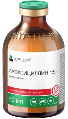 Амоксициллин 150 50мл (Nita-Farm) (ЛИЦЕНЗИЯ) фото