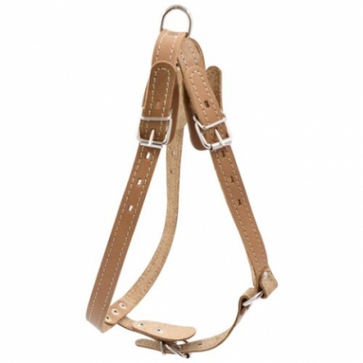 Шлейка (Зооэкспресс) 0840Б 1сл 18 мм до 75 см бежевая