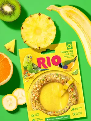 Лакомство (Rio) 0,085кг Веселое колечко игрушка для волнистых попугаев и экзотов фото