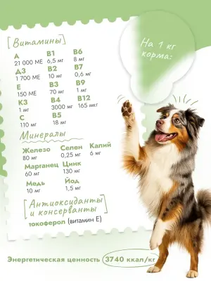 Best Dinner Monoprotein 10кг белая рыба с киноа сухой для собак крупных и средих пород (408733) фото