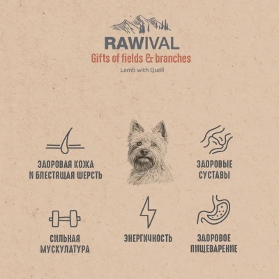 RAWIVAL Gifts of Fields & Branches ягнёнок с перепелом для взрослых собак карликовых и маленьких пород, 0,75 кг фото RAWIVAL Gifts of Fields & Branches ягнёнок с перепелом для взрослых собак карликовых и маленьких пород, 0,75 кг фото
