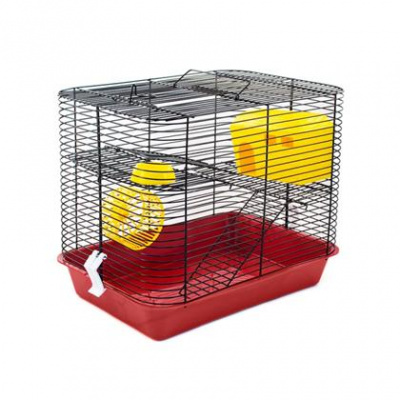 4640004829793.jpg 4640004829793.jpg