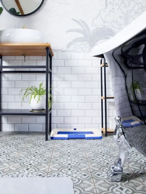 Туалет (ZooOne) P102-05 (48*35*6) для собак, синий фото