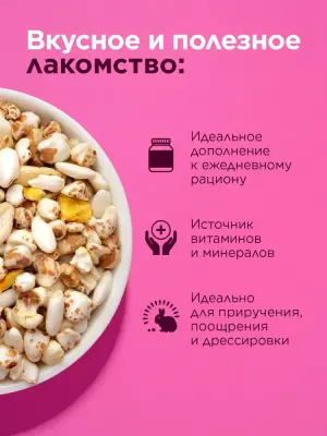 Little One 0,07кг лакомство Воздушные зерна для грызунов, New(181735) фото