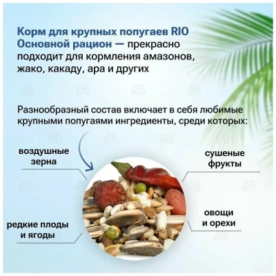 Rio 0,5кг корм для крупных попугаев основной рацион фото Rio 0,5кг корм для крупных попугаев основной рацион фото