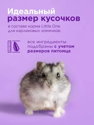 Little One 0,4кг Корм для карликовых хомячков фото