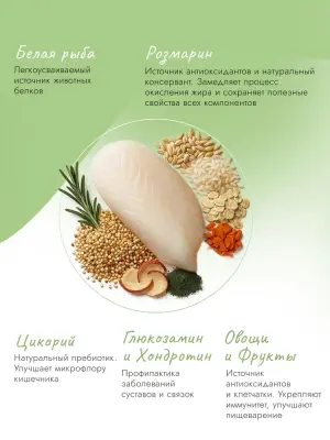 Best Dinner Monoprotein 2кг белая рыба с киноа сухой для собак крупных и средних пород (408870) фото