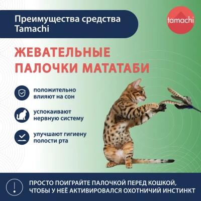 Tamachi Мататаби жевательные палочки для кошек 3шт фото Tamachi Мататаби жевательные палочки для кошек 3шт фото