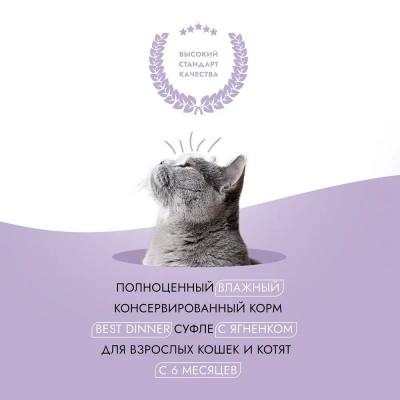Best Dinner Мясные деликатесы 0,085кг суфле с ягненком (для взрослых и котят с 6 месяцев) для кошек (263594) фото Best Dinner Мясные деликатесы 0,085кг суфле с ягненком (для взрослых и котят с 6 месяцев) для кошек (263594) фото