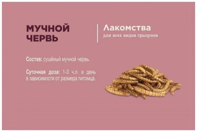 Little One 0,07кг Лакомство мучной червь для всеядных грызунов фото Little One 0,07кг Лакомство мучной червь для всеядных грызунов фото