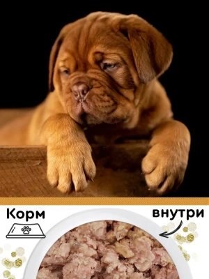Четвероногий гурман 0,1кг Golden Line Цыпленок с кроликом в желе для щенков (546984) фото Четвероногий гурман 0,1кг Golden Line Цыпленок с кроликом в желе для щенков (546984) фото