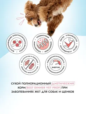 Best Dinner Vet Profi Gastro Intestinal Low Fat 2кг сухой для собак (406913) фото