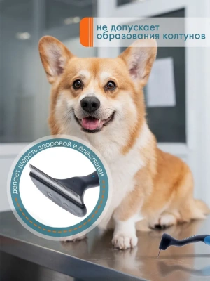 Дешеддер (DeLIGHT) большой 79 зуба 62079L фото