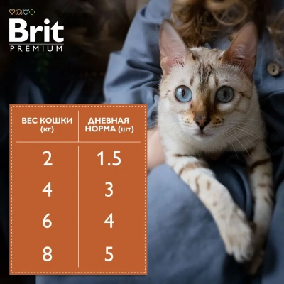 Brit Premium 0,085кг лосось в соусе пауч для стерилизованных кошек (5048892) фото