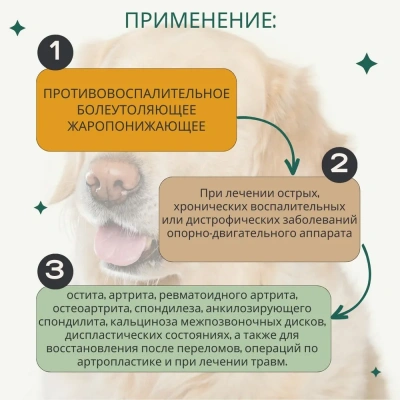 Петкам Табс Invesa (Livisto) таблетки 0,5мг (10таб в уп) (ЛИЦЕНЗИЯ) фото