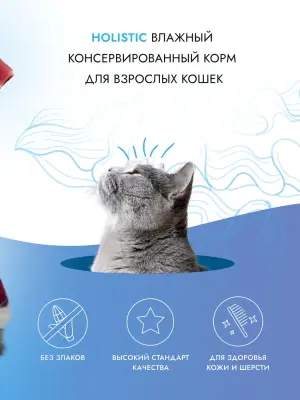 Best Dinner Cat Holistic 0,07кг филе в желе с курицей, тунцом и кальмарами для кошек (408894) фото