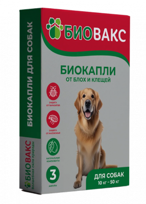 SnapBG.ai_1741675147747