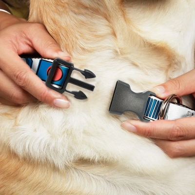 Ошейник (Buckle-Down) Звездные войны Запчасти R2-D2 мультицвет с пластиковой застёжкой 23-38см фото