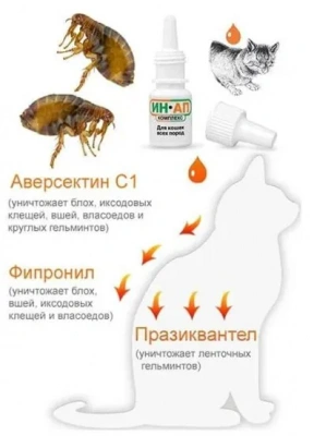 ИН-Ап комплекс капли 1мл от блох и глистов для кошек (ЛИЦЕНЗИЯ) фото